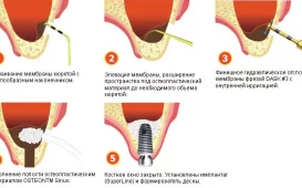 Стоматология Щелкунчик (Ортодонт-центр) фотография 2