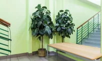 Клиника БалтЗдрав на улице Маршала Говорова фотография 10