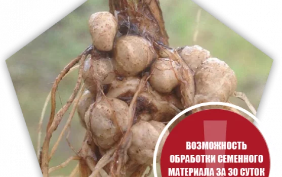 Филиал Экос Всероссийский НИИ сельскохозяйственной микробиологии фотография 1