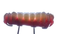 Авторская стоматология с онлайн-консультацией iP Clinic фотография 16