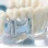 Стоматологическая клиника 33-й Зуб на проспекте Просвещения фотография 2