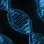Генетическая лаборатория ДНК-тест витапункт 