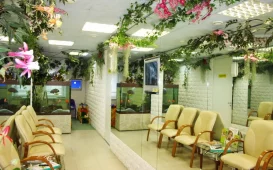 Центр детской стоматологии Дункан в Приморском районе фотография 3
